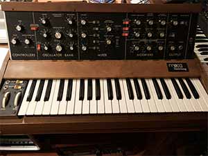 Mini Moog Type D