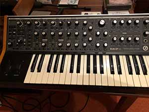 Mini Moog Type D