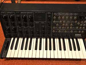 Mini Moog Type D